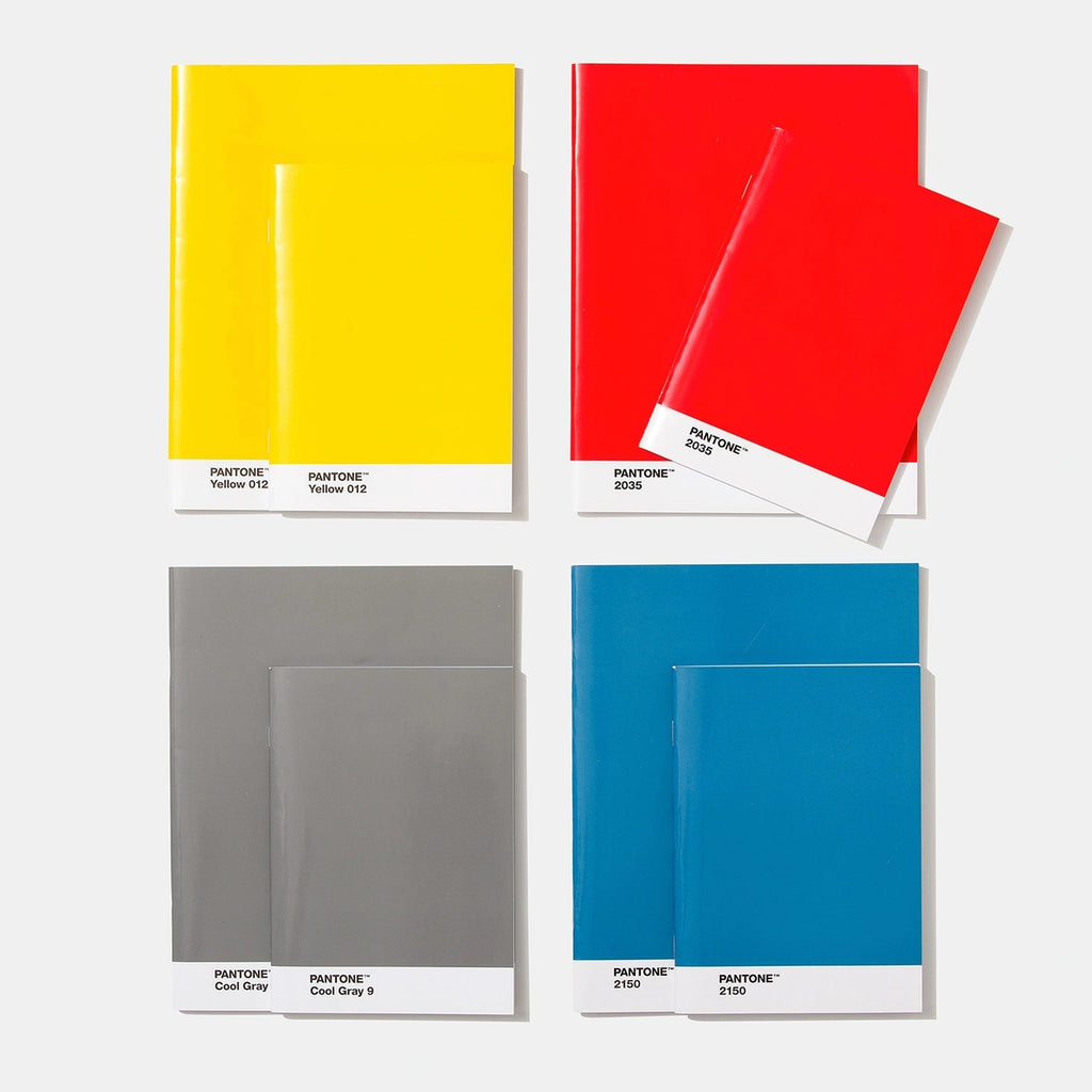 Set 2 Quadernini Pantone