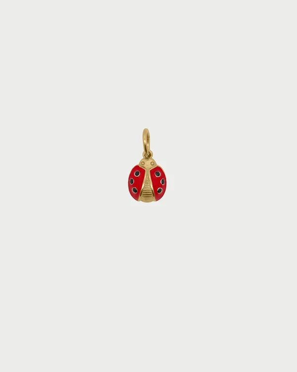 CHARM COCCINELLA