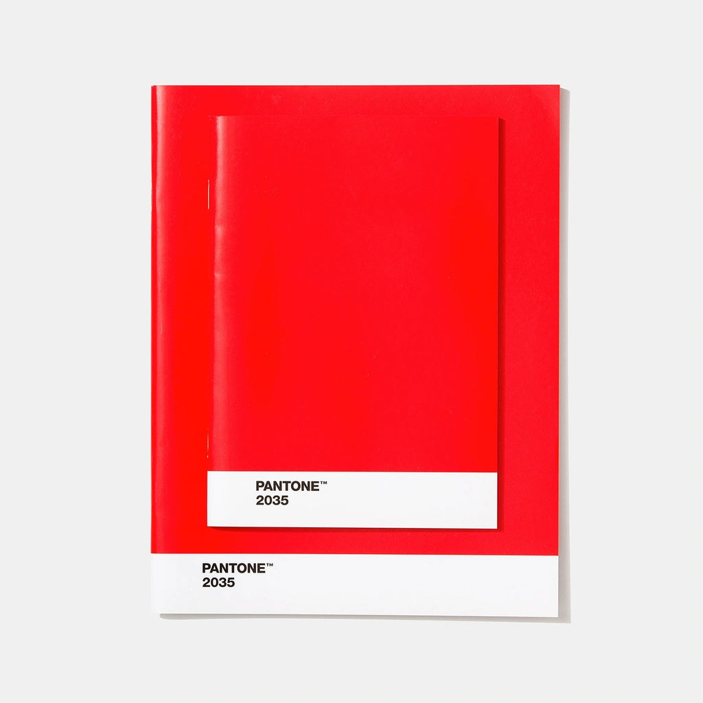 Set 2 Quadernini Pantone