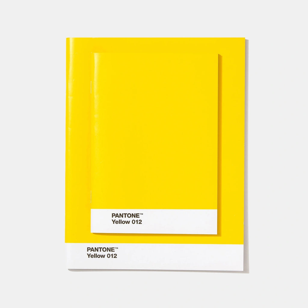 Set 2 Quadernini Pantone