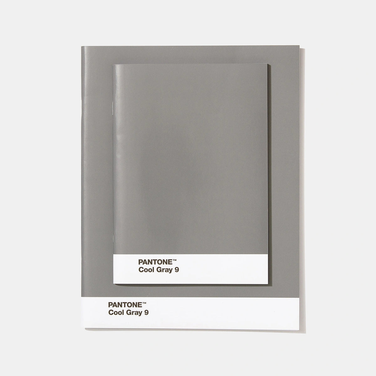 Set 2 Quadernini Pantone