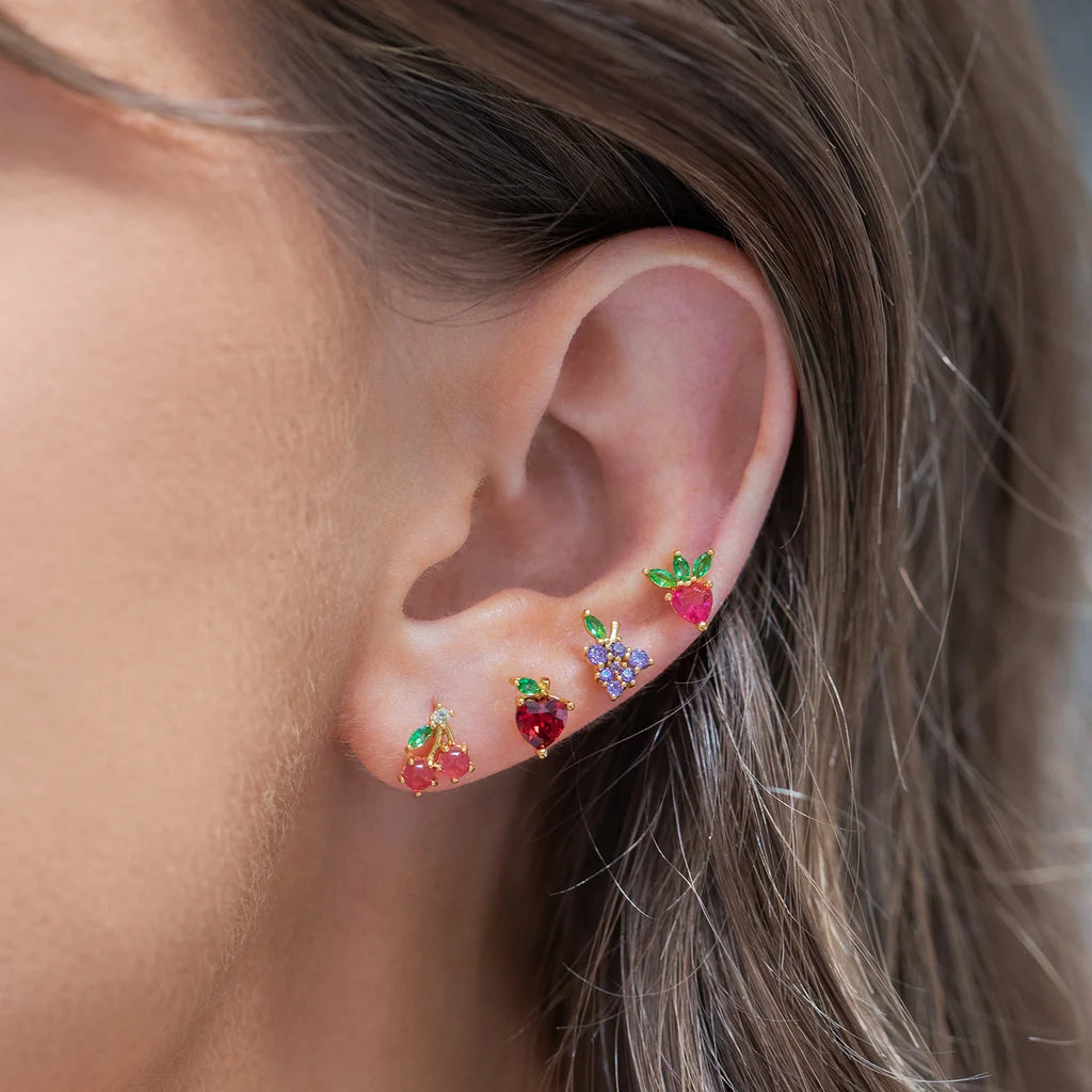 FRUIT BASKET STUD SET