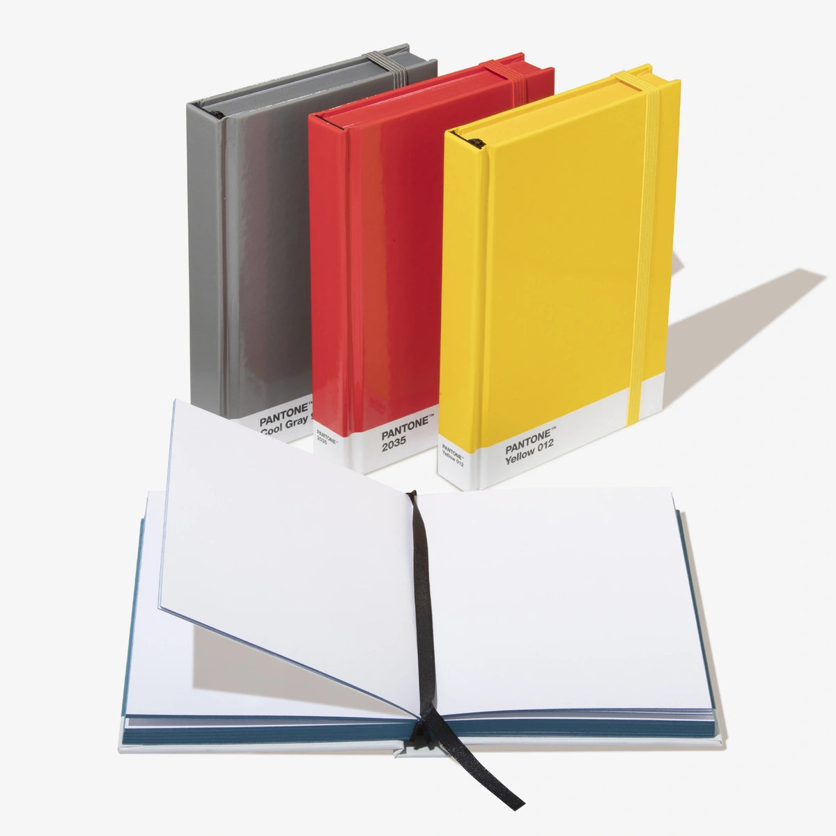 Notebook Pantone