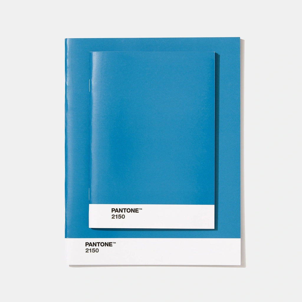 Set 2 Quadernini Pantone