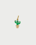 CHARM CACTUS