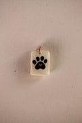 Paw Love – Le orme che restano