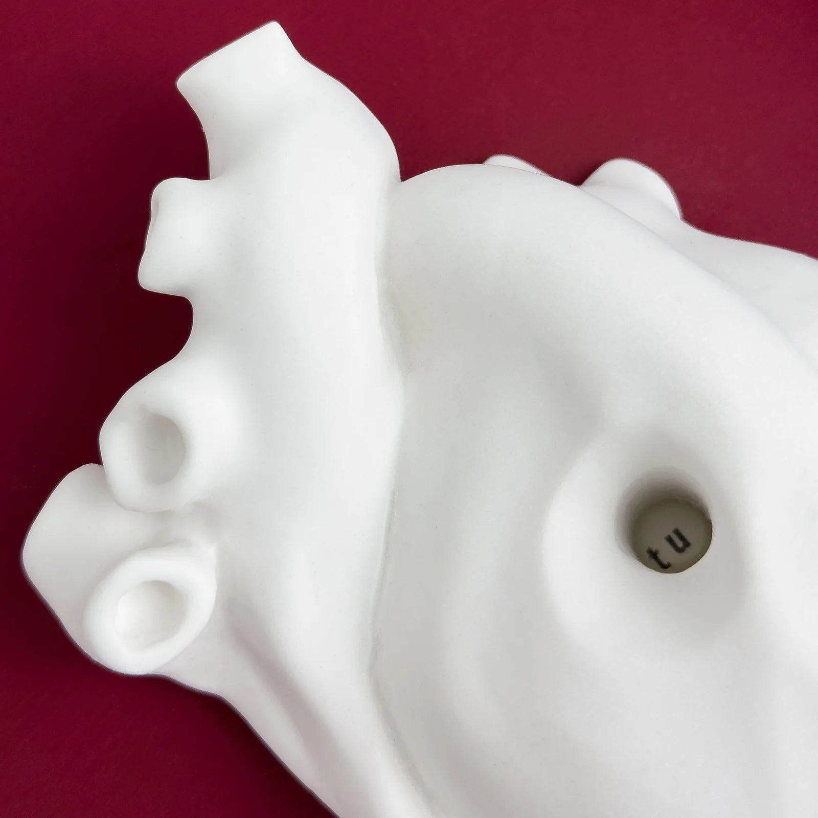 Cuore Anatomico “Tu” con Cornice