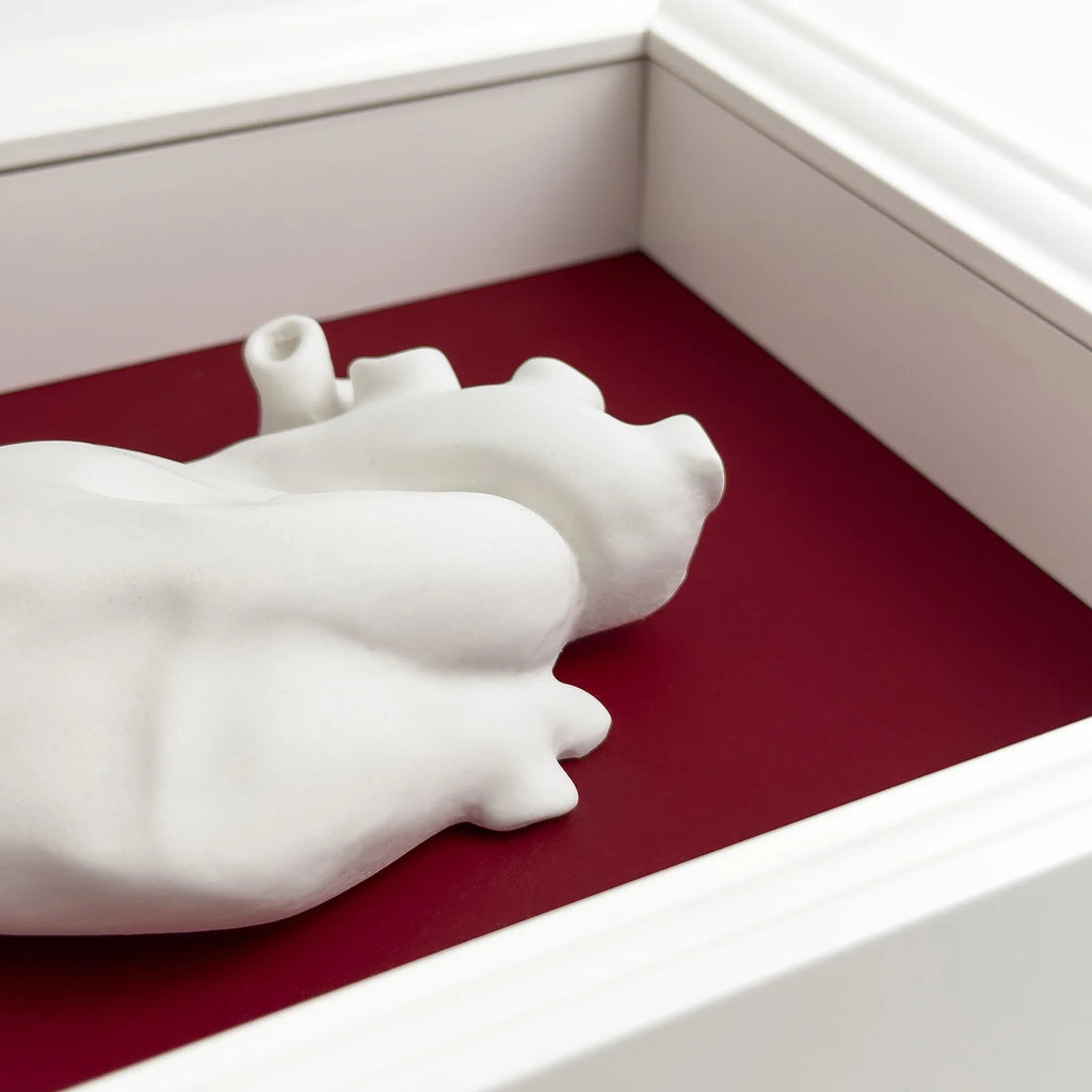 Cuore Anatomico “Tu” con Cornice