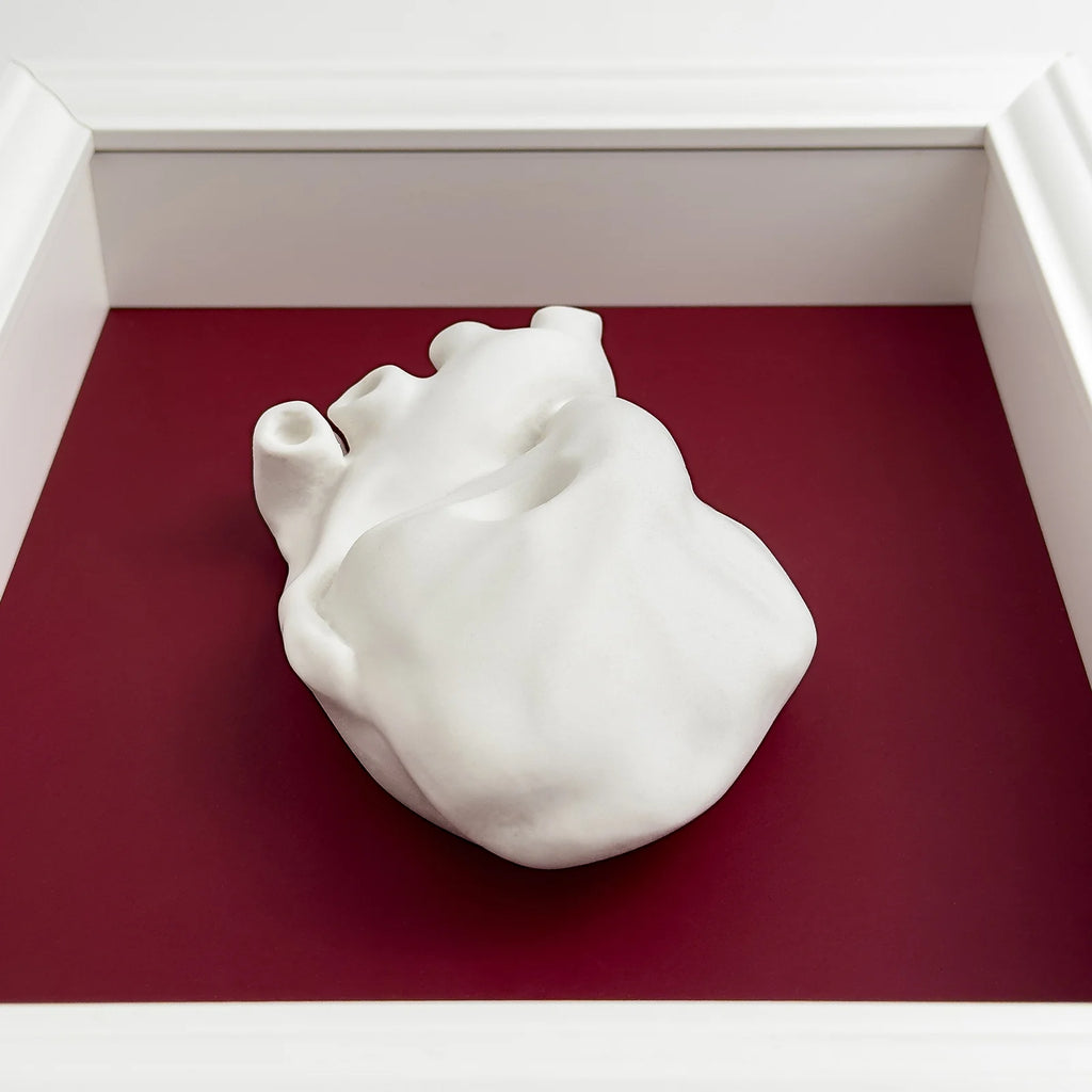 Cuore Anatomico “Tu” con Cornice