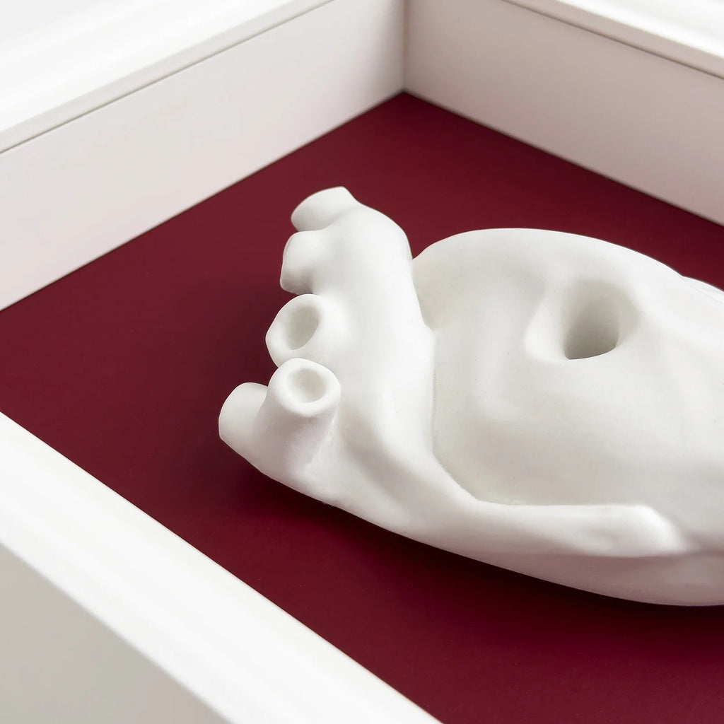 Cuore Anatomico “Tu” con Cornice