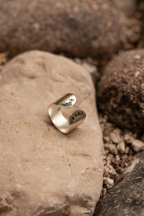 Anello Fascia