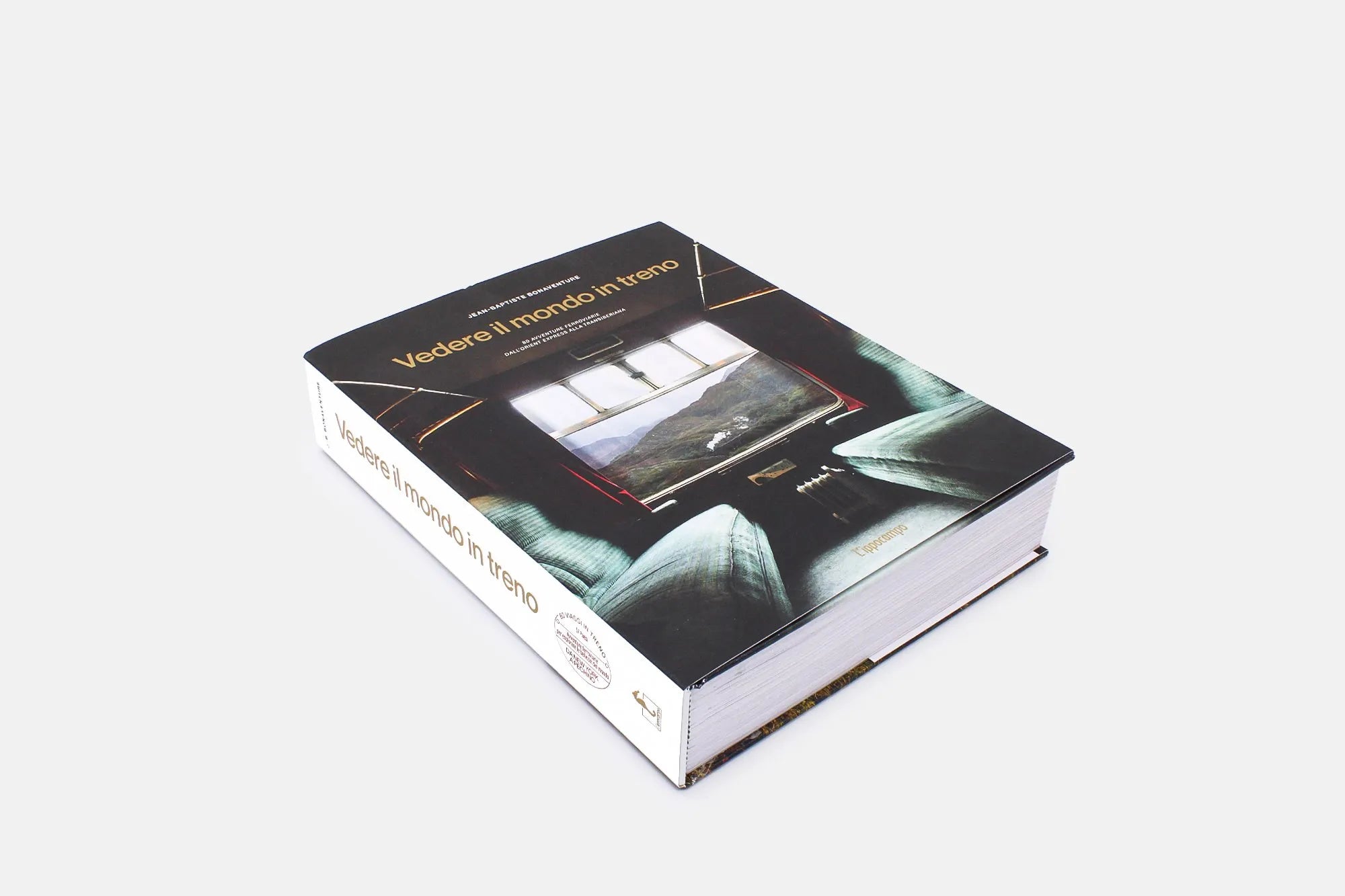 Vedere il mondo in treno