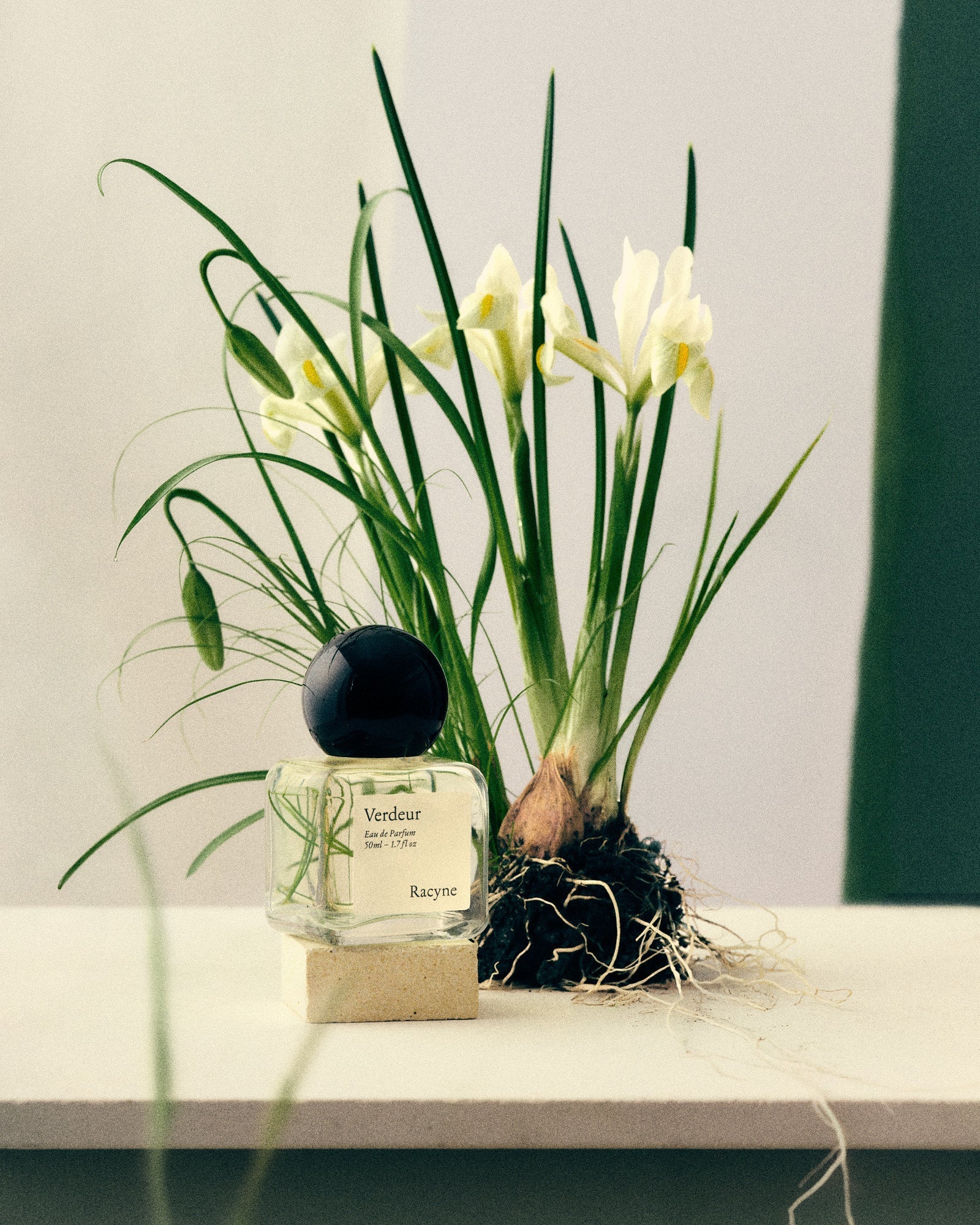 Verdeur – Eau de Parfum